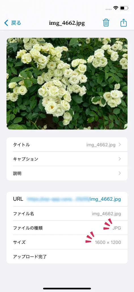 WordPressアプリで画像をアップロードした画面
